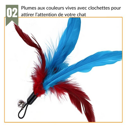 Lot cannes à pêche 12 pièces pour Chat - DreamFishing™