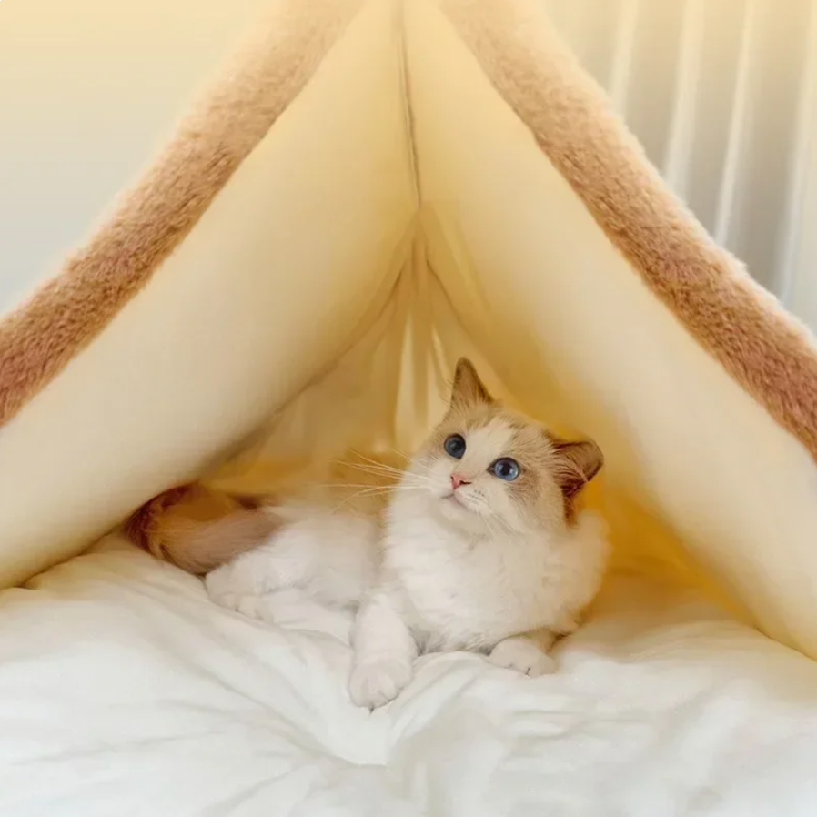 Tente pour chat - CuteTent™