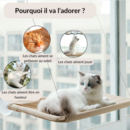 Hamac pour chat WindowHammock™